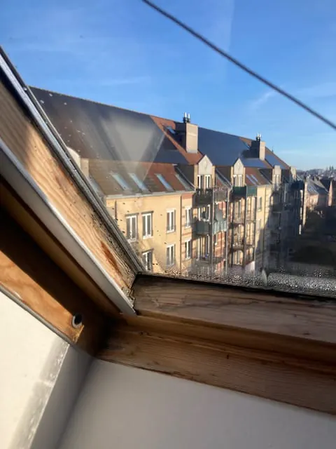 Châssis et ouvrant de fenêtre